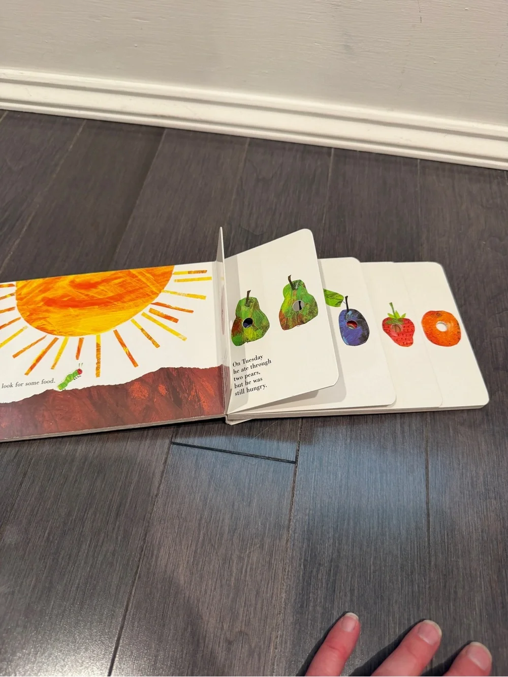 The Very Hungry Caterpillar Board Book - Green/Red by Eric Carle Kids Toddler